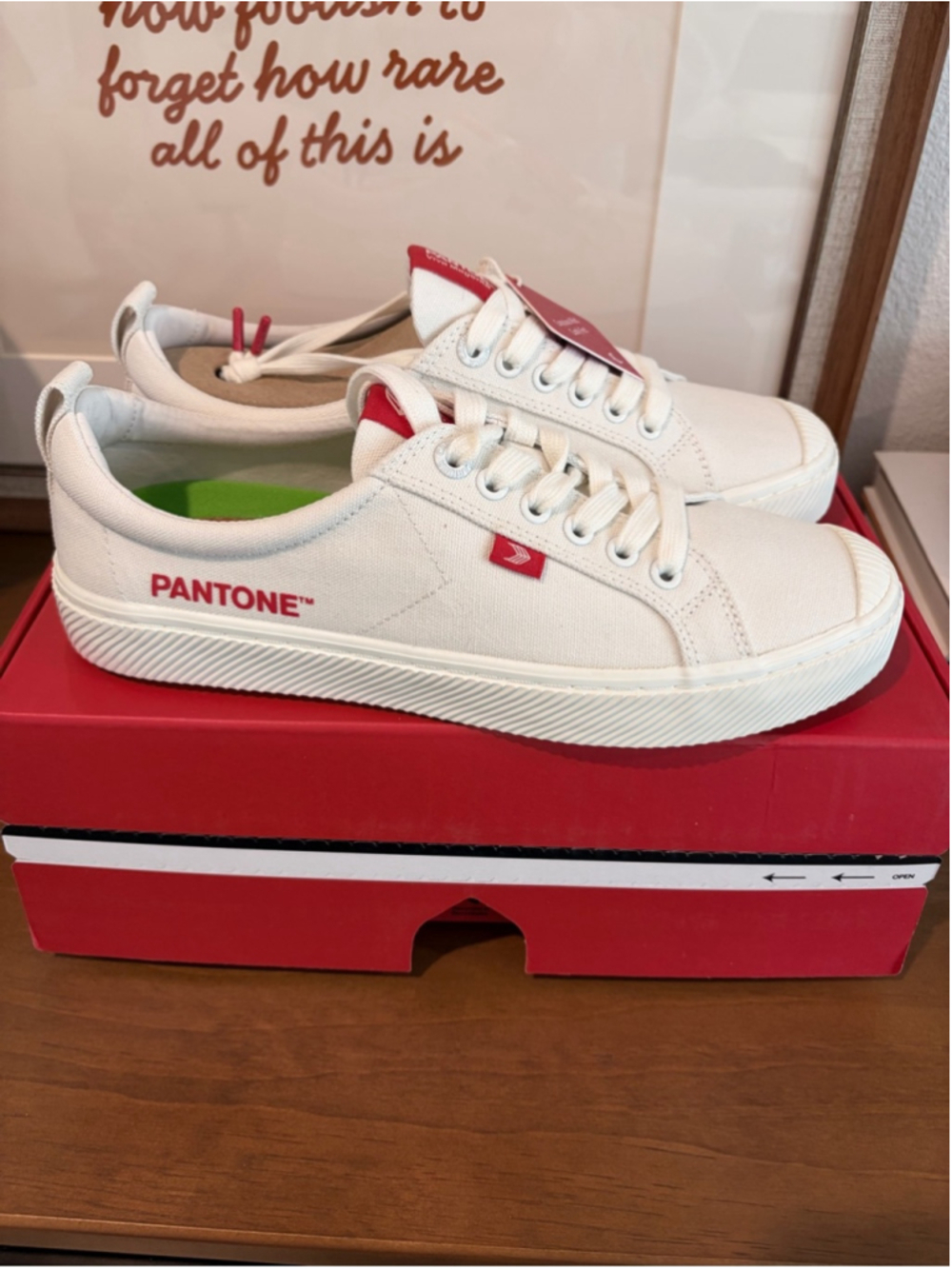 CARIUMA x Pantone OCA Low Viva Magenta Off-White Sneakers Women 10 Men 8.5 NIB